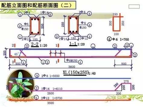 配筋圖怎麼看|零基础也能看懂钢筋配筋图，10张图高效率领你入门